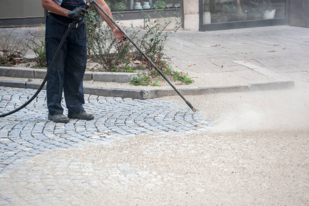 Best Animal Enclosure Cleaning  in Crestview, FL